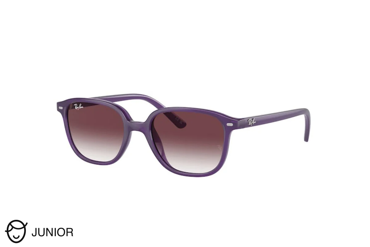 Ray Ban Junior Leonard RJ9093S 713136