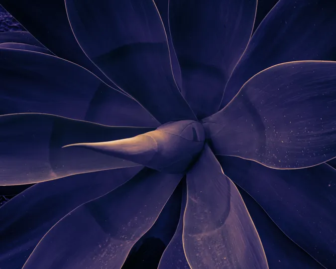 Occhiali da sole viola