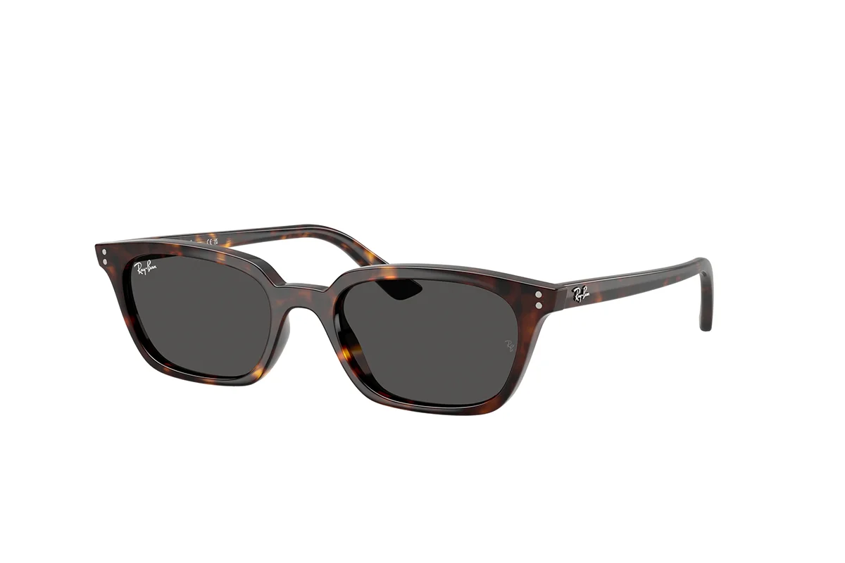 Ray Ban Zaya 53 RB4456 135987